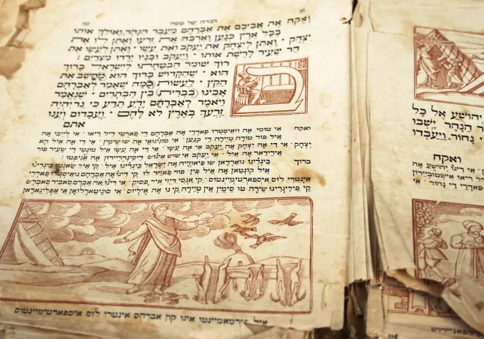 ©Stella Levi/iStock