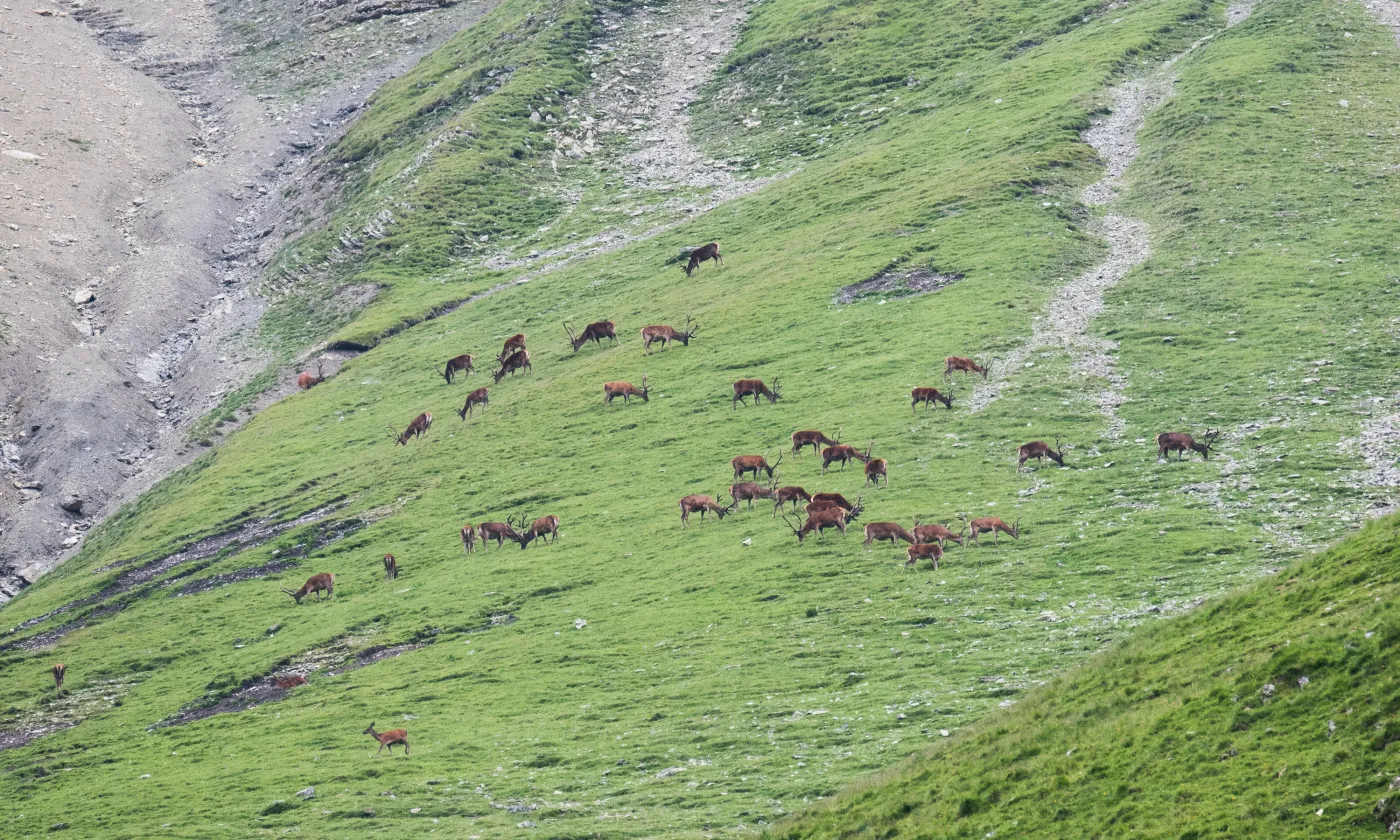 ©Parc national suisse