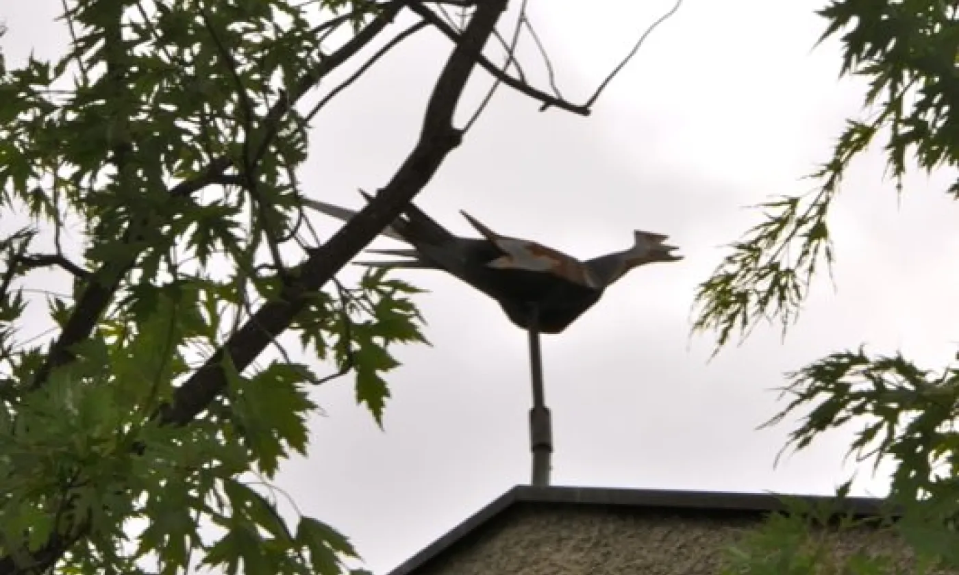 Alexandra Urfer Jungen