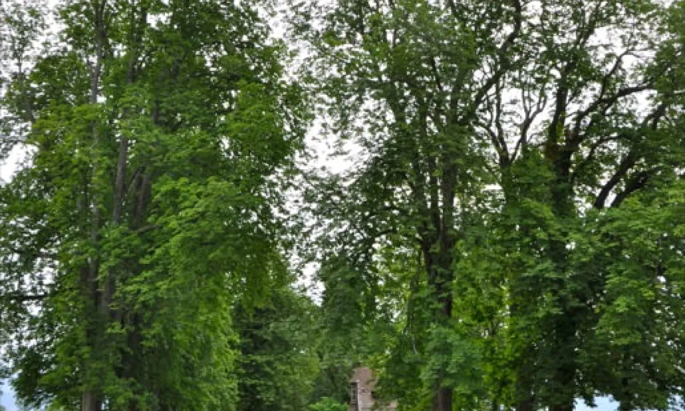 Alexandra Urfer Jungen