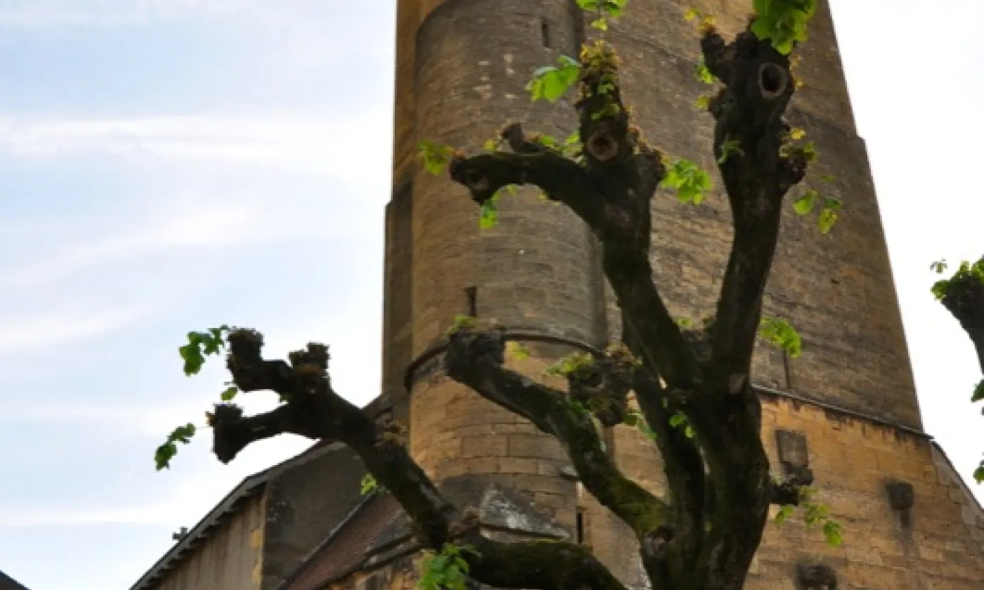 Alexandra Urfer Jungen