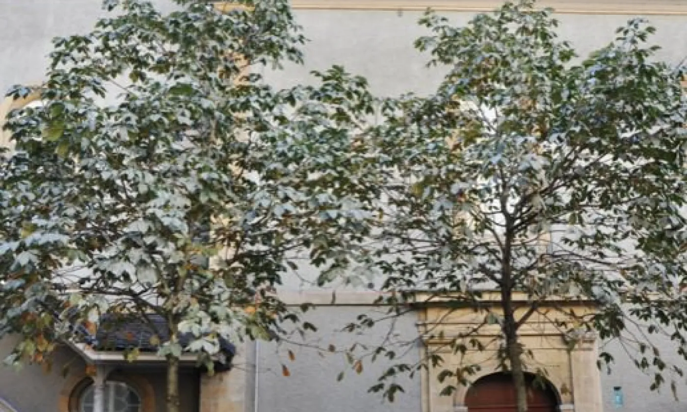 Alexandra Urfer Jungen